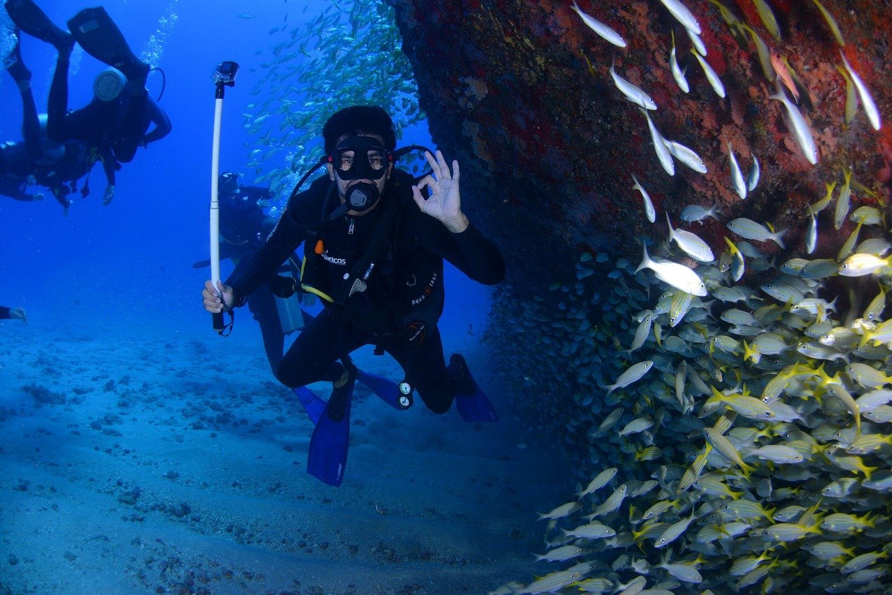 dive-blue-diving-deep-at-the-bottom-of-the-ocean-nature-passion-scuba-diver-fins-ocean-person-scuba-sea-swimming-underwater-water-1849534 dive, blue, diving deep, at the bottom of the ocean, nature, passion, scuba diver, fins, ocean, person, scuba, sea, swimming, underwater, water-1849534.jpg